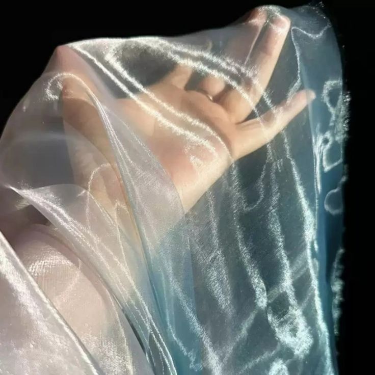 Organza Fabric